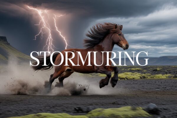 Stormuring